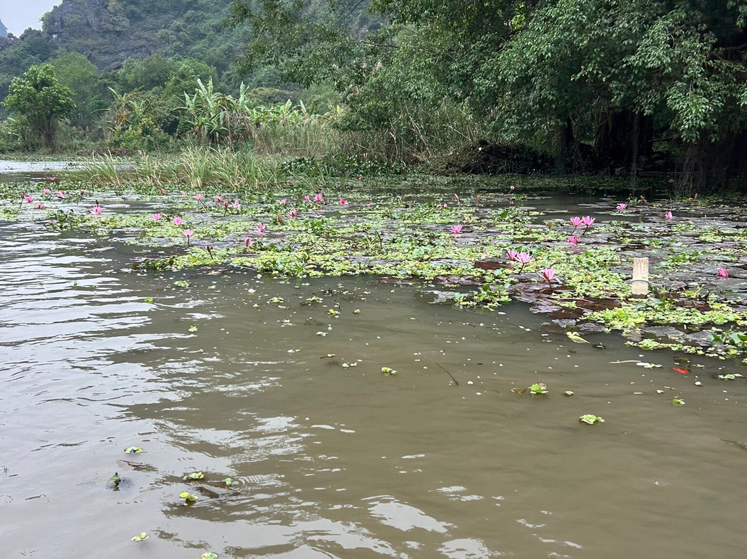 Go Viet Travel-河内必去景点