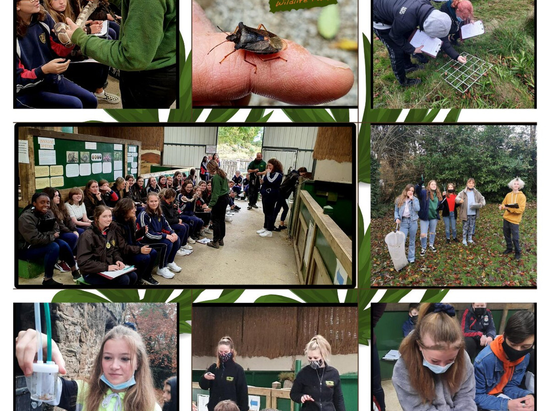 Secret Valley Wildlife Park-韦克斯福德必去景点