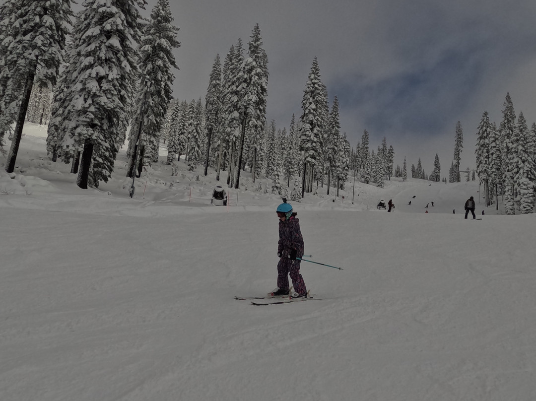 Mount Shasta Ski Park-芒特沙斯塔必去景点