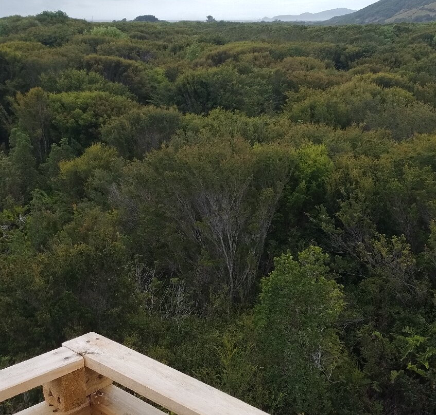 Parque Nacional Chiloé-奇洛埃岛必去景点