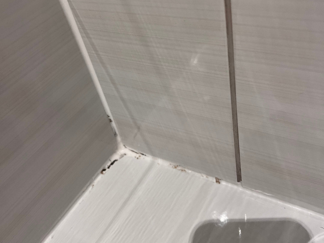 兰开斯特普瑞米尔酒店主图