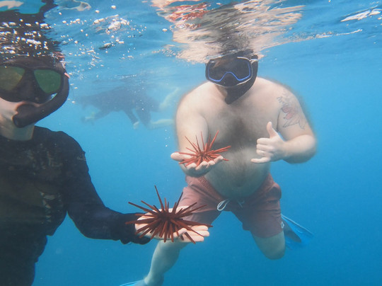 Hawai'i Surf and Kayak-普阿克必去景点