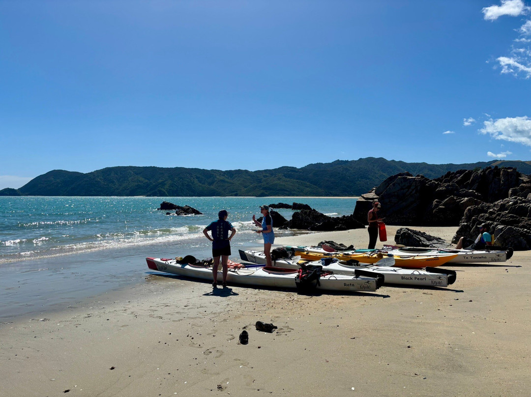 Golden Bay Kayaks-塔卡卡必去景点