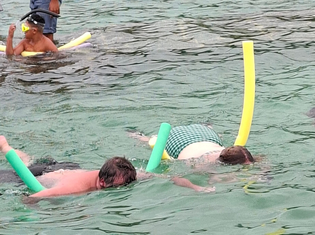 Koka Lagoon Cruises-穆里必去景点