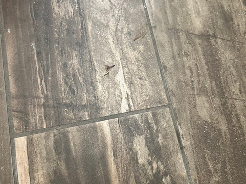 汉普顿旅店 旧金山机场宾馆主图