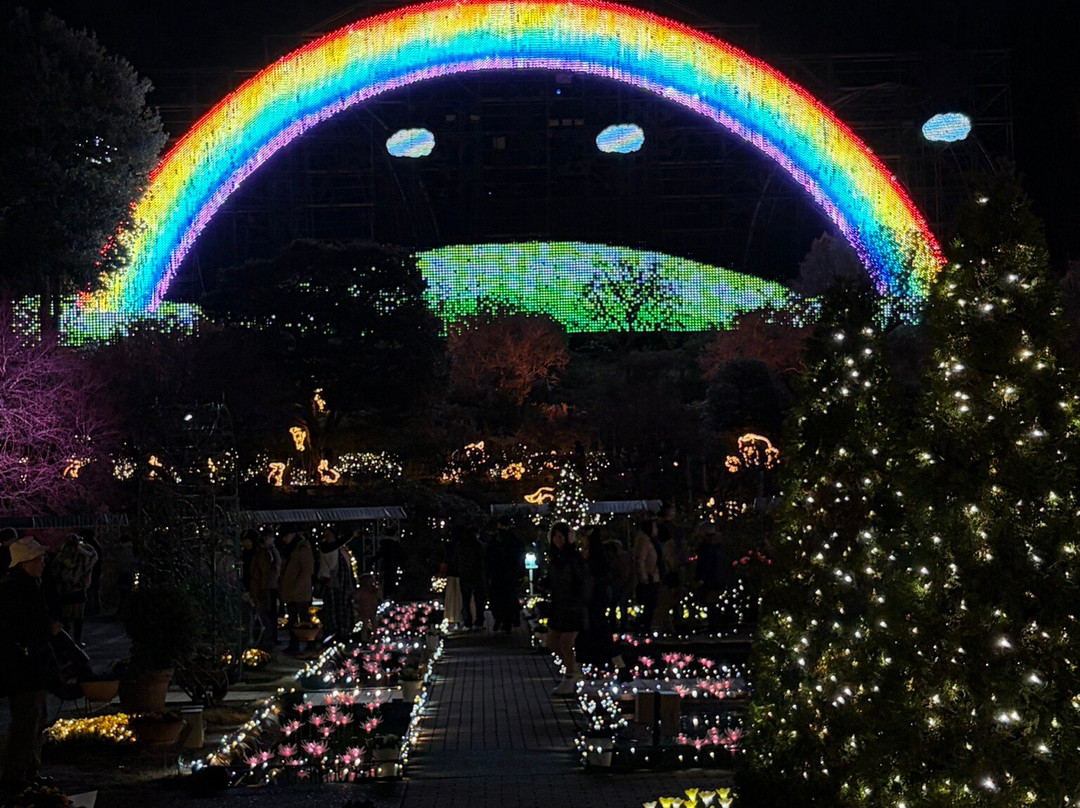 Ashikaga Flower Park-足利市必去景点