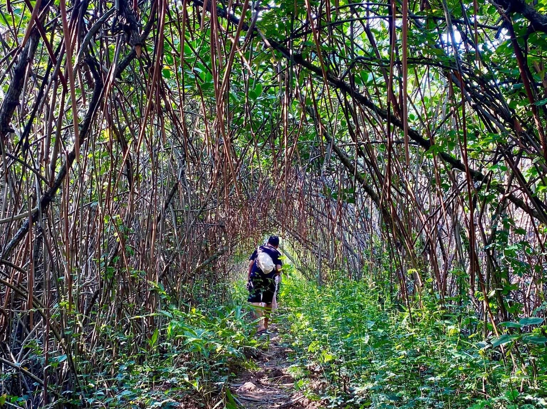 Thien Long Cave-卡巴必去景点
