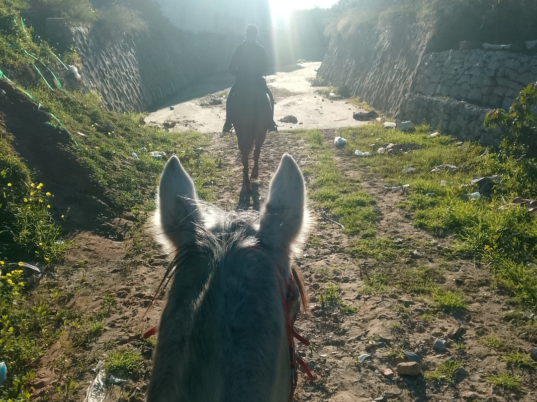 Club Equus Hammamet-哈玛麦德必去景点