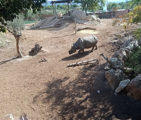 Terra Natura Benidorm-贝尼多姆必去景点