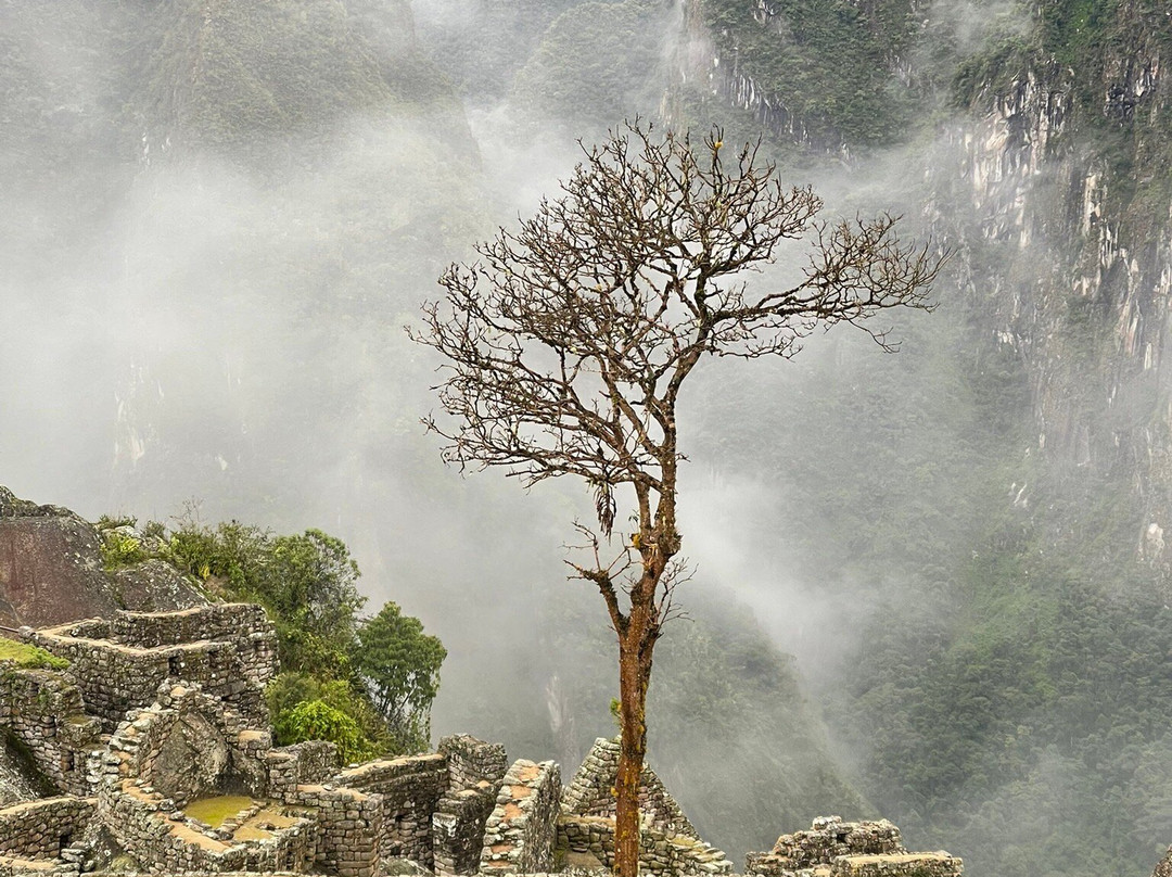 SAM Travel Peru-库斯科必去景点