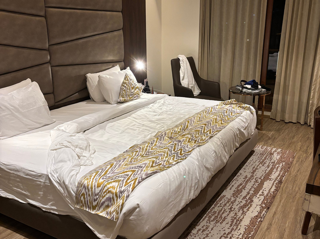 The Fern Leo Resort & Club Junagadh主图