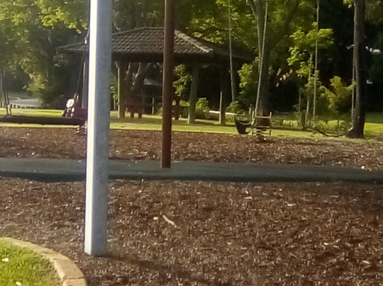 Junior Chambers Park-Beaudesert必去景点