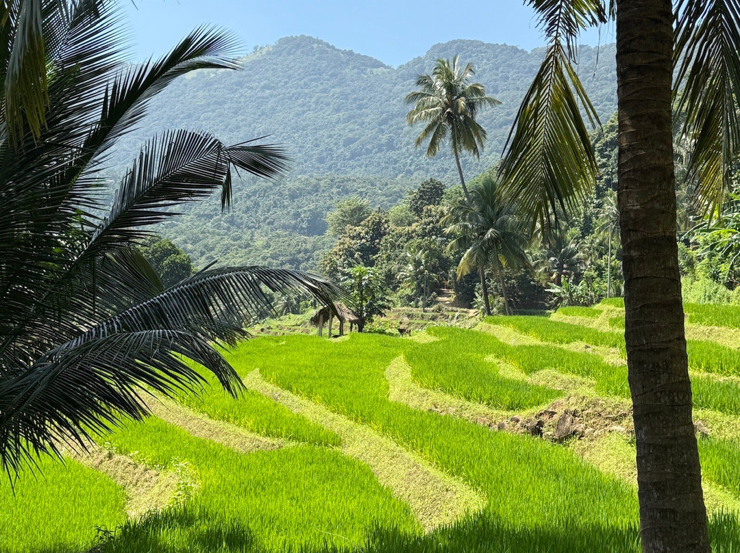 Different Discovery Tours-卡图纳耶克必去景点