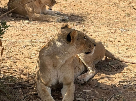 Safari e escursioni in kenya con Charo John-瓦塔木必去景点