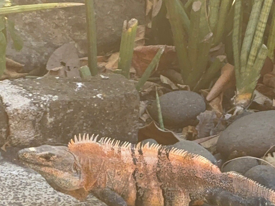 Playa Danta-Las Catalinas必去景点