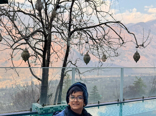 Tree of Life Eila Art Hotel, Manali主图