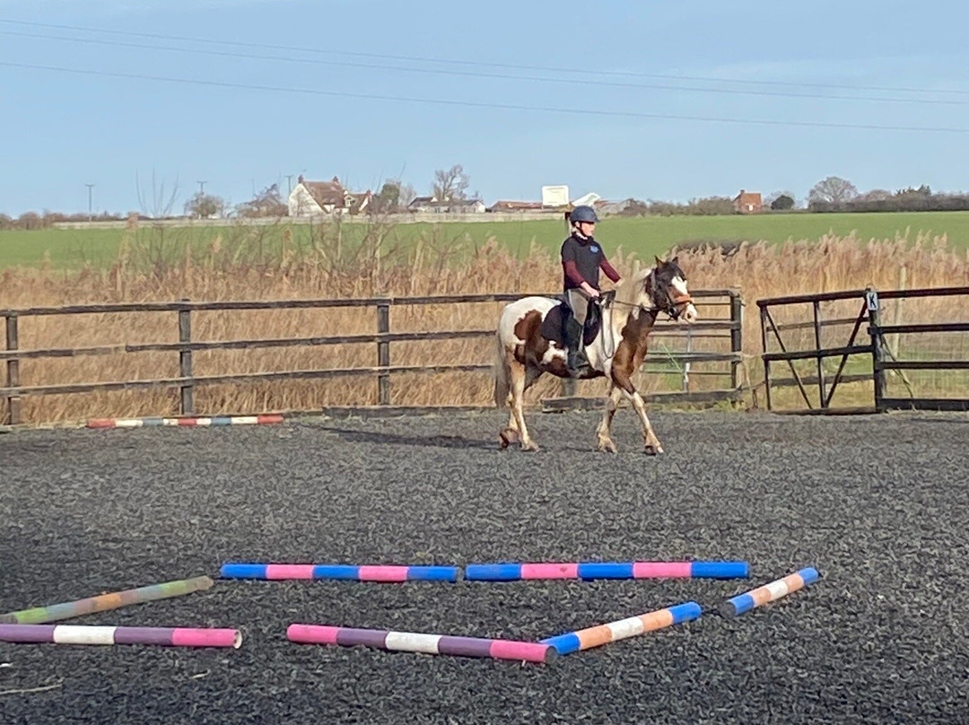Montys Equestrian Centre-Holland-on-Sea必去景点