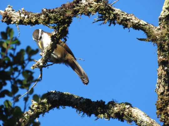 Best of Lanka-科伦坡必去景点