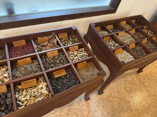 Roman Life Ayurveda Resort主图