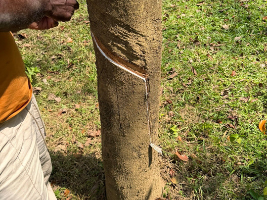 Sampa Wayo Gem City Tourism-Ratnapura必去景点