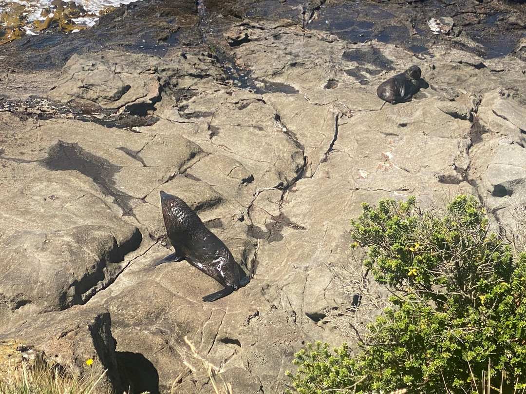 卡迪基灯塔-摩拉基必去景点