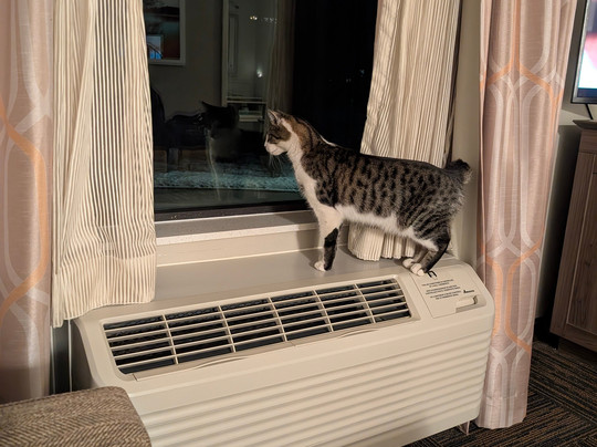 Hampton Inn And Suites Hudson主图