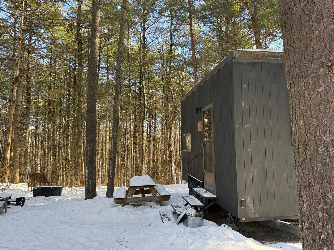 Postcard Cabins Eastern Catskills, Outdoor Collection by Marriott Bonvoy