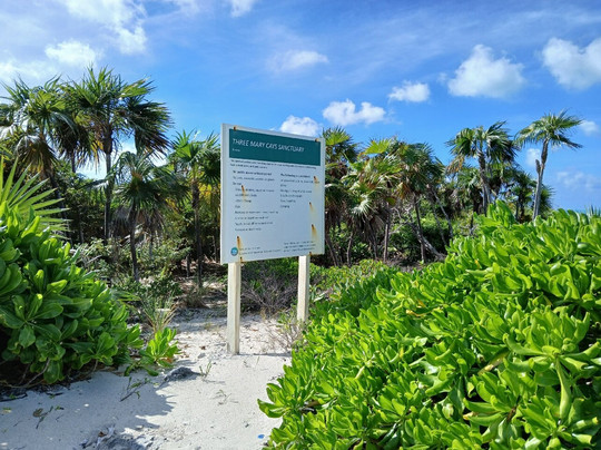 Three Marys Cays-North Caicos必去景点