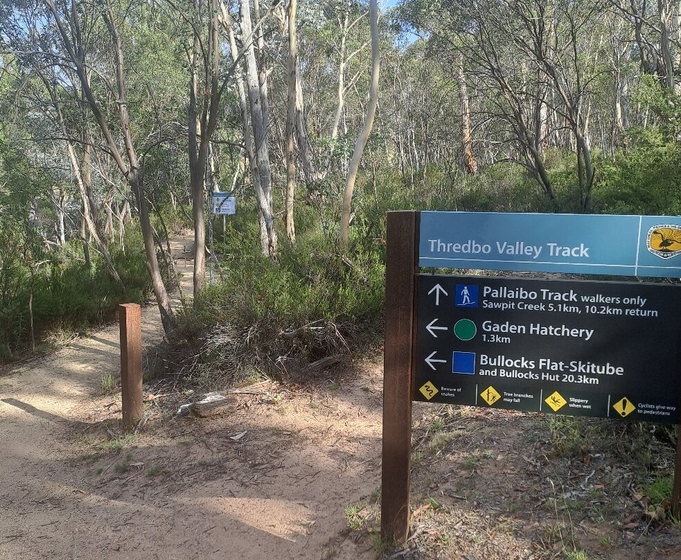 Thredbo River Track-Thredbo Village必去景点