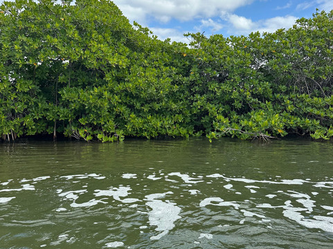 Puerto Maya Cancún-坎昆必去景点