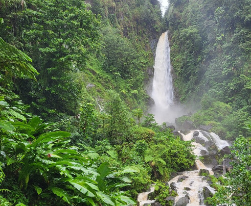 Just Go Dominica-多米尼克必去景点
