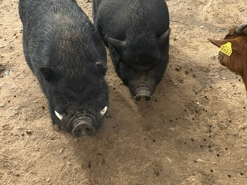 Quinta Fotoplanet Farm-阿尔布赞拉必去景点