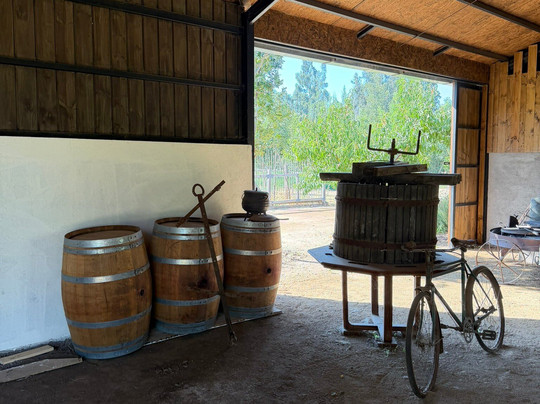 Campo La Quirinca-Isla de Maipo必去景点