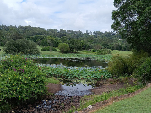 Noosa Valley Golf Club-努沙必去景点