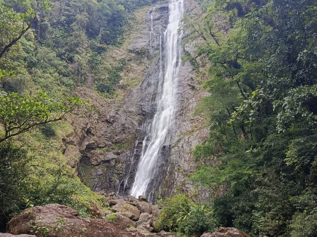Reserva Natural Salto Morato-Guaraquecaba必去景点