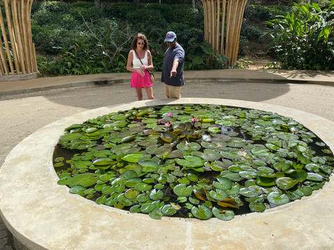 Fairceylon Holiday (pvt)ltd.-科伦坡必去景点