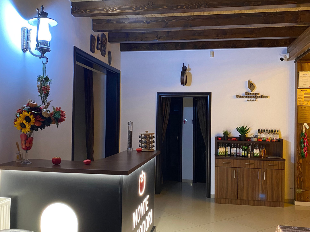 罗纳沃荣图鲁酒店主图