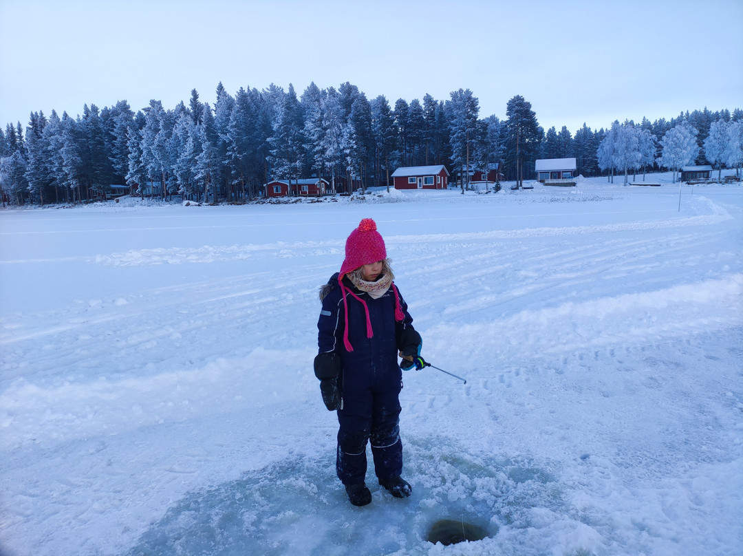 Openlappland-Amsele必去景点