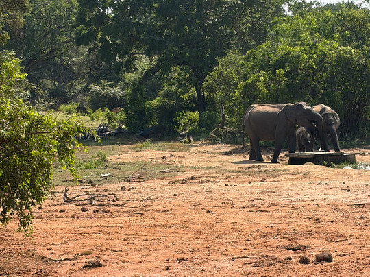 BH Lanka Tours-Kurunegala必去景点