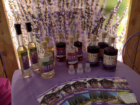 Lavanda del Lago-Moniga del Garda必去景点