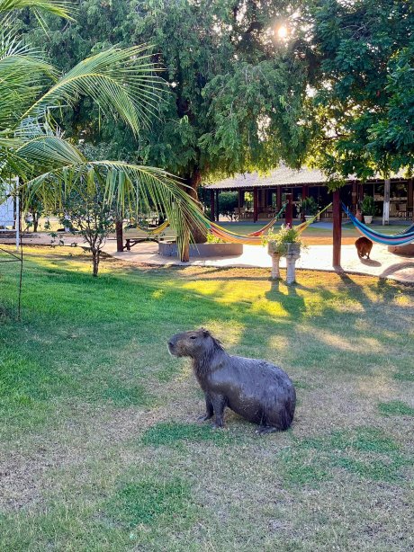 Pousada Piuval-官方