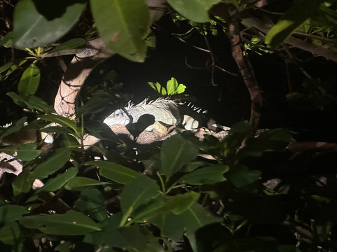 BioIsland-Cabezas必去景点