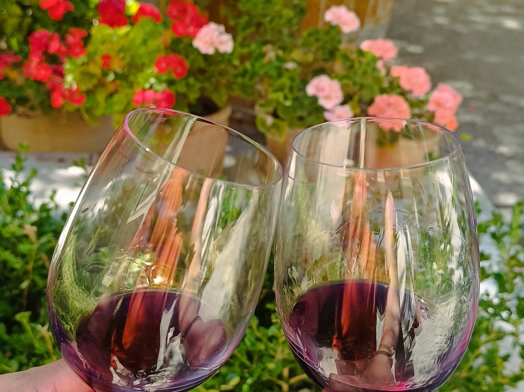 Bodega Los Toneles-门多萨必去景点