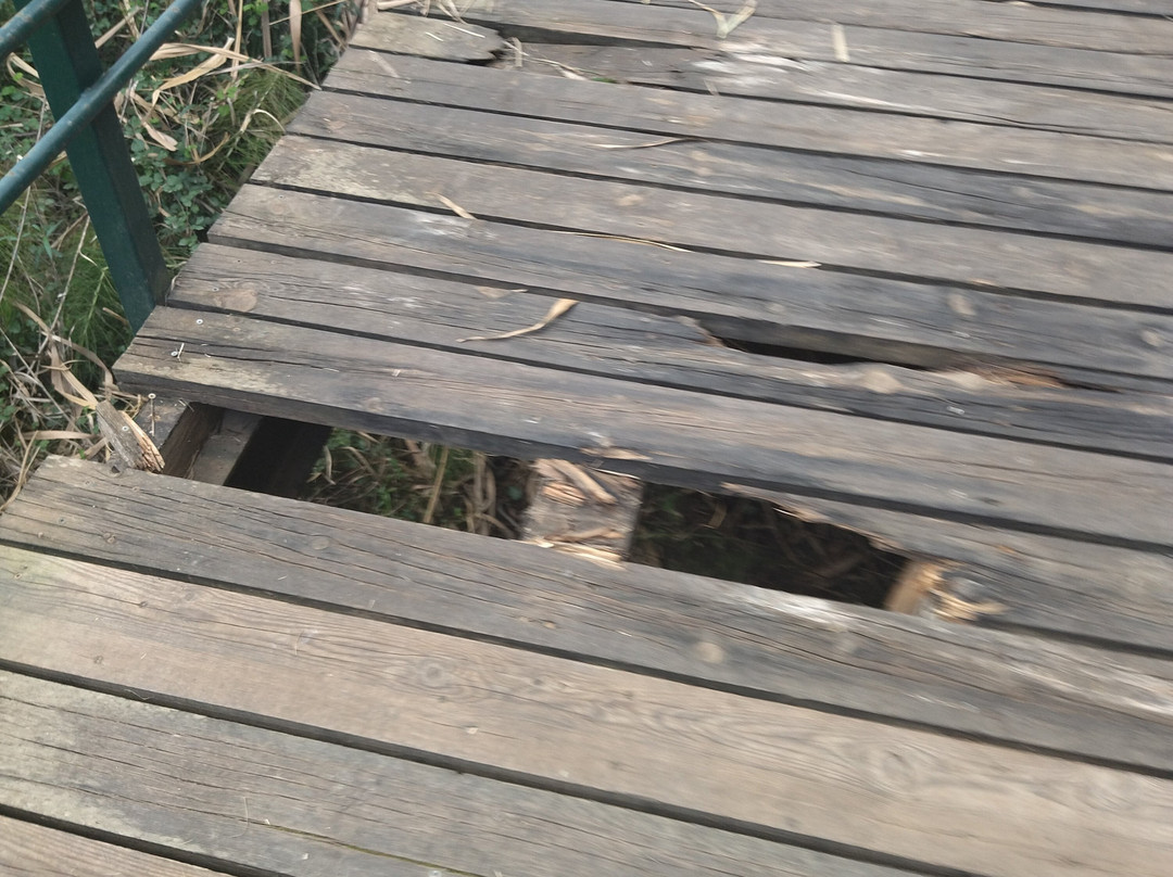 Lake Agias-Agia必去景点