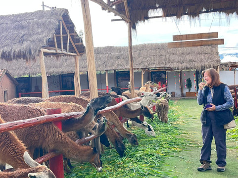 Peru Summit Adventures-库斯科必去景点