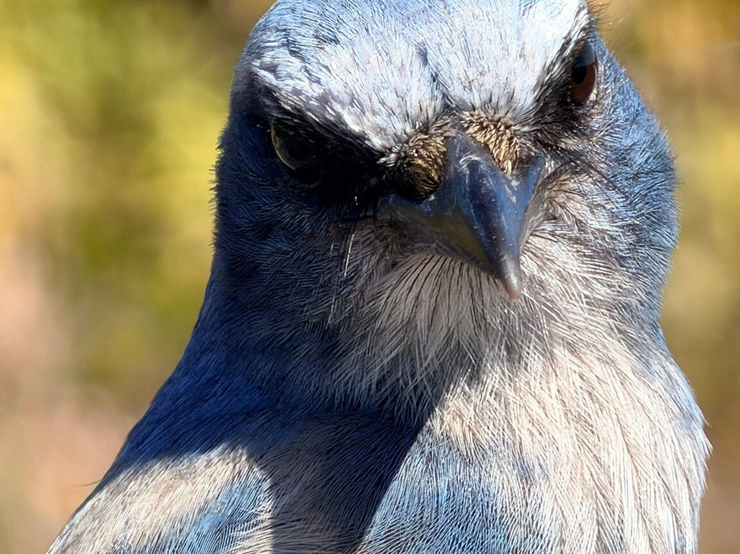 Helen and Allan Cruickshank Sanctuary-Rockledge必去景点
