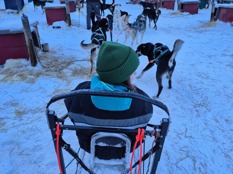 Snowhook Adventure Guides of Alaska-Willow必去景点