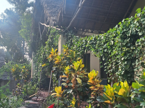 Mafia Whale Shark Tours-Kilindoni必去景点