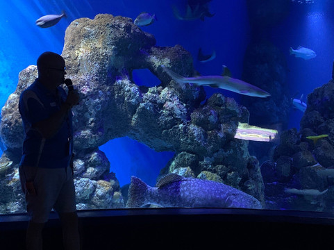 Cairns Aquarium-凯恩斯必去景点