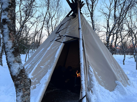 Kvaløya Husky-特罗姆瑟必去景点